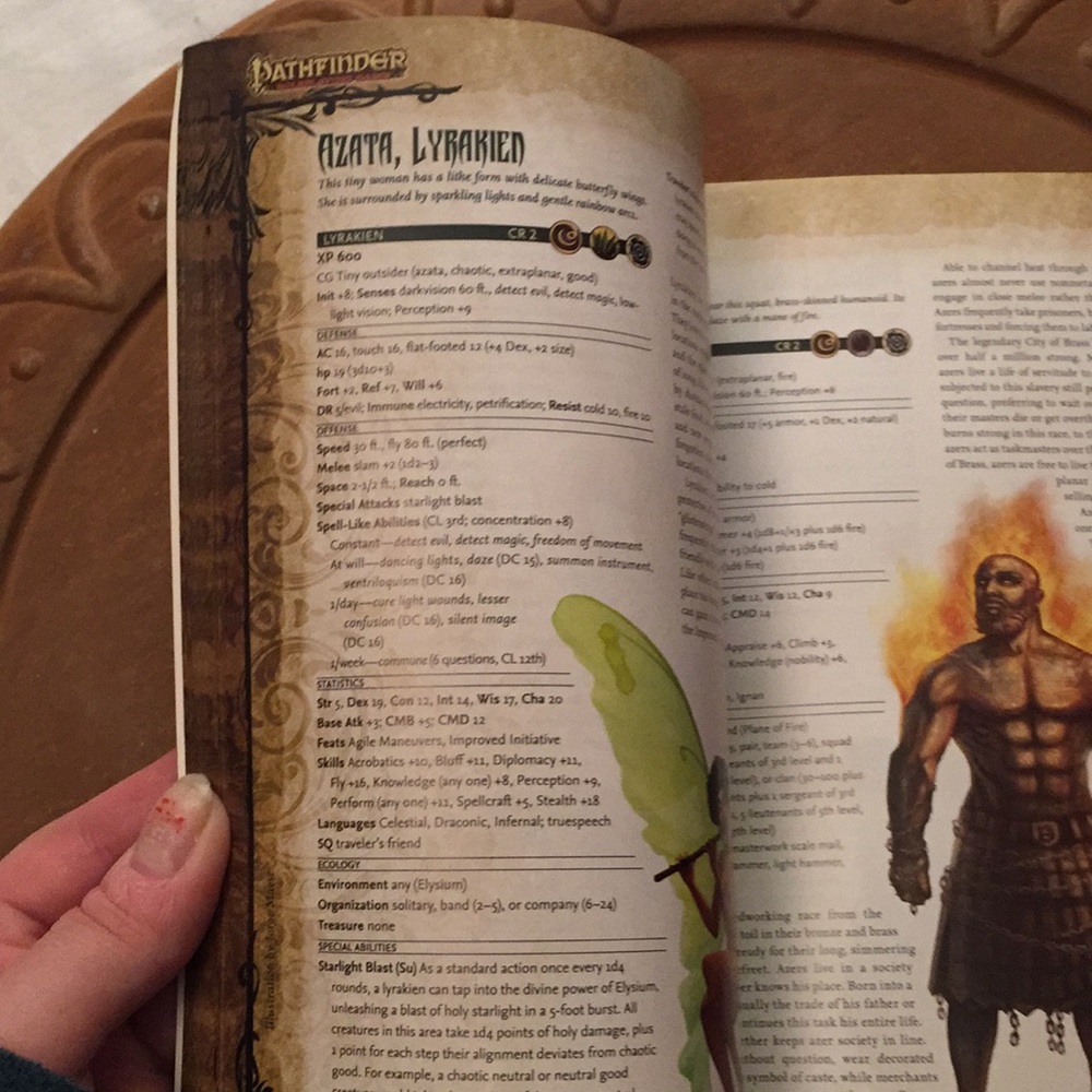 Pathfinder roleplaying game book #1 - Picture 16 of 17